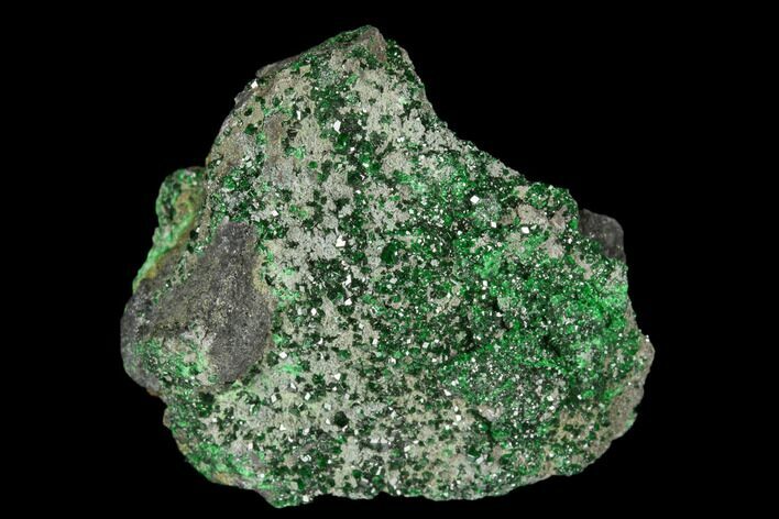 Green Uvarovite (Garnet Group) Cluster - Russia #178964